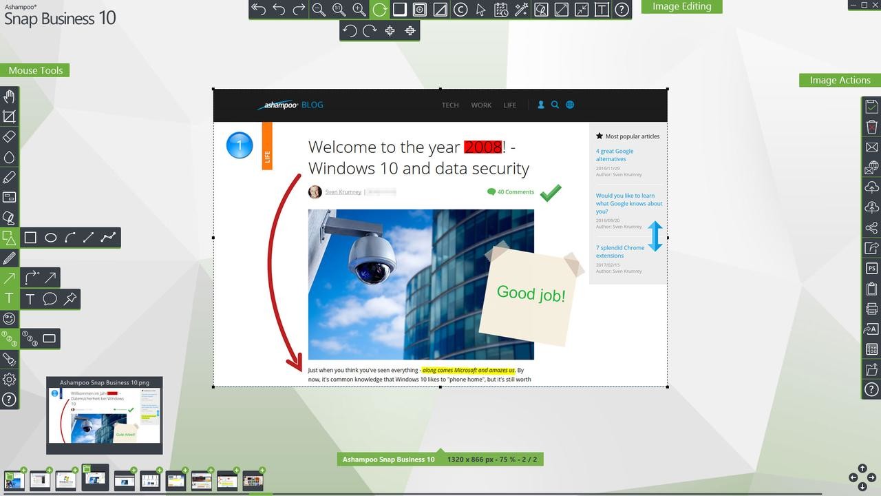 Ashampoo Snap Business 10.0.5 | Full