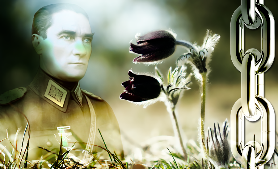 Photoshop Cs6 Mixed