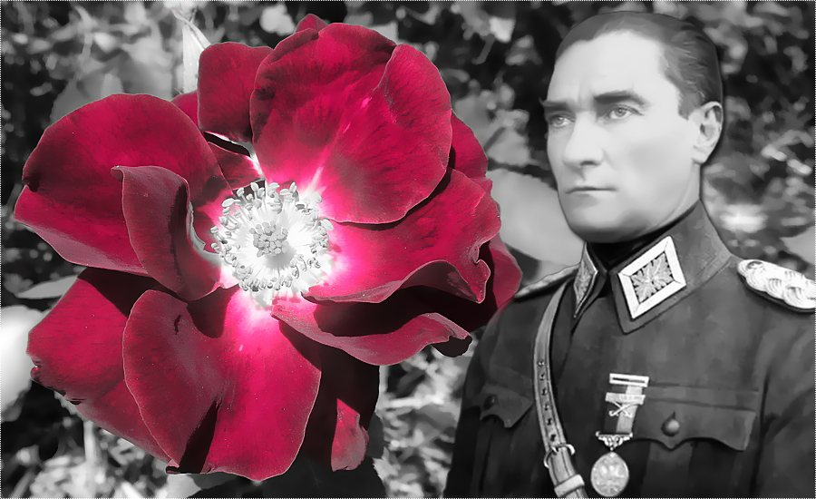 Photoshop Cs6 Mixed