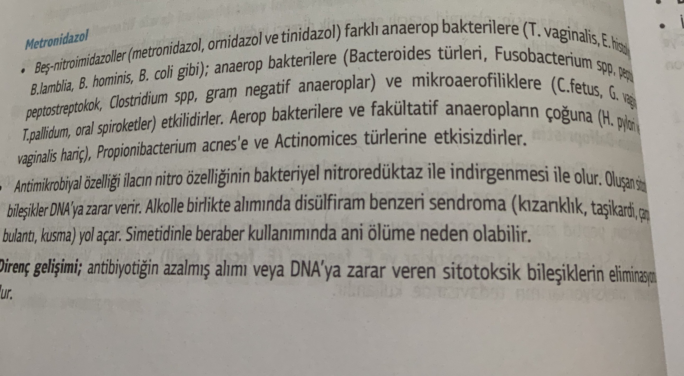 38Yg54.jpg