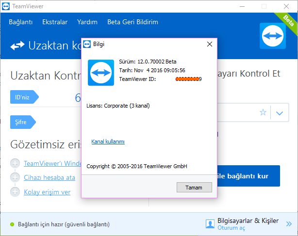 TeamViewer Corporate 12.0.70002 Beta | Katılımsız