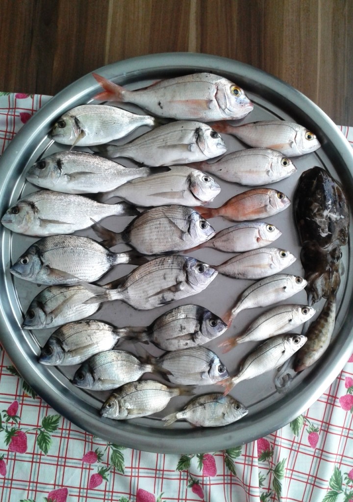 3LdWv0.jpg