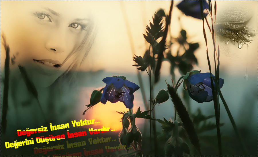 Photoshop Cs6 Mixed