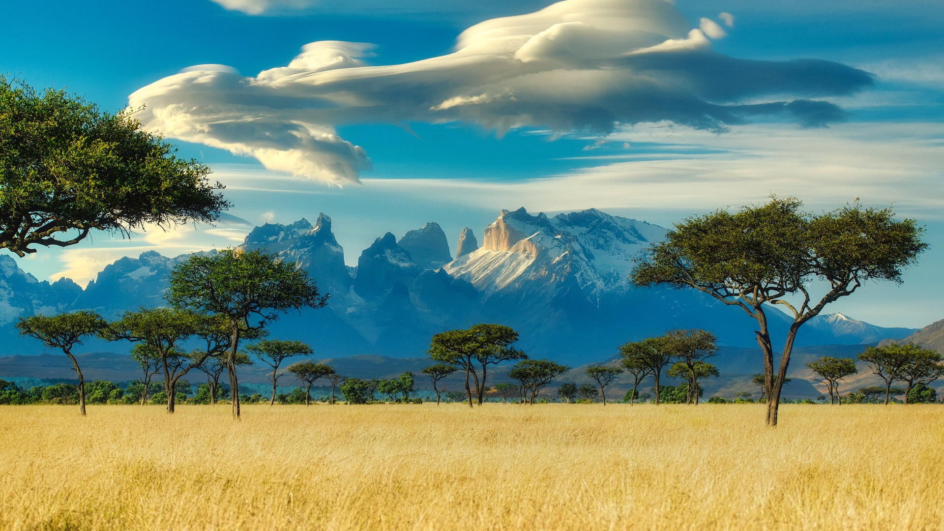 #Amazing Kenya – why should you visit it