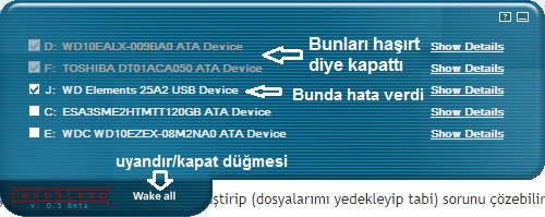 Resim