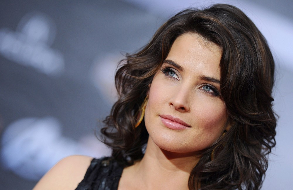 İstatistik. robin scherbatsky. himym. 