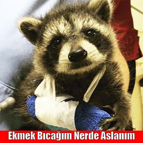 4j8kaQ.jpg