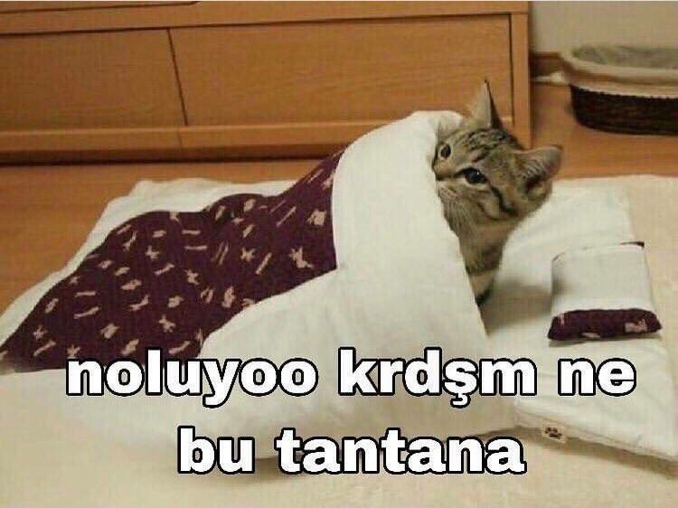 4jGBRY.jpg