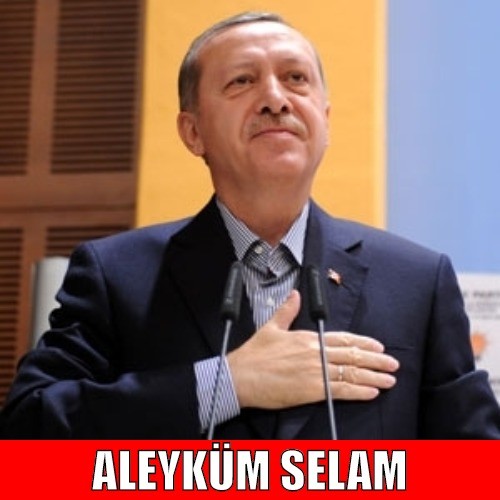 4jRkv0.jpg