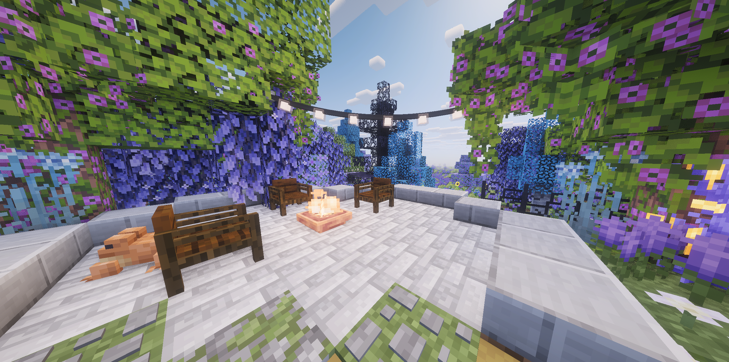 Server image