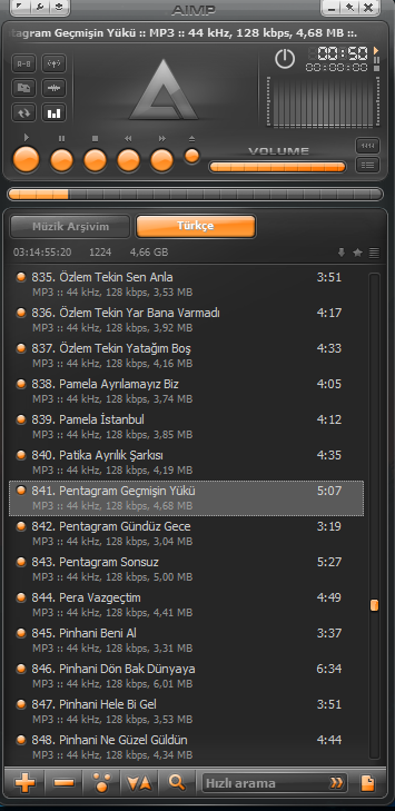 Resim