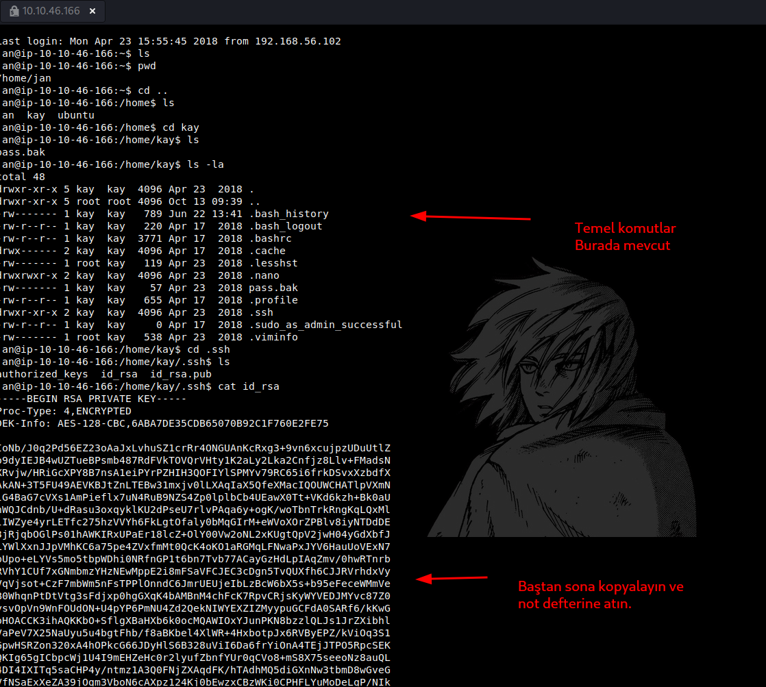 5383hyc.png