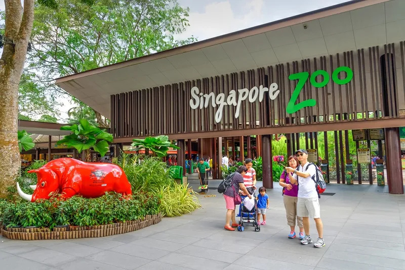 #10 interesting animals that you can find at the Singapore Zoo