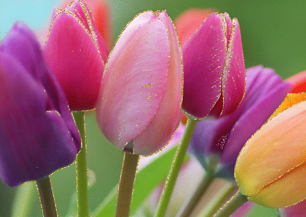 5D3vjR.gif