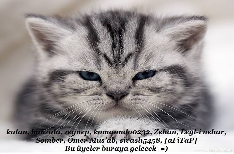 [Resim: 5QbzdA.jpg]
