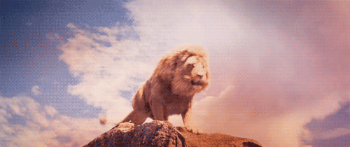 5kY4DR.gif