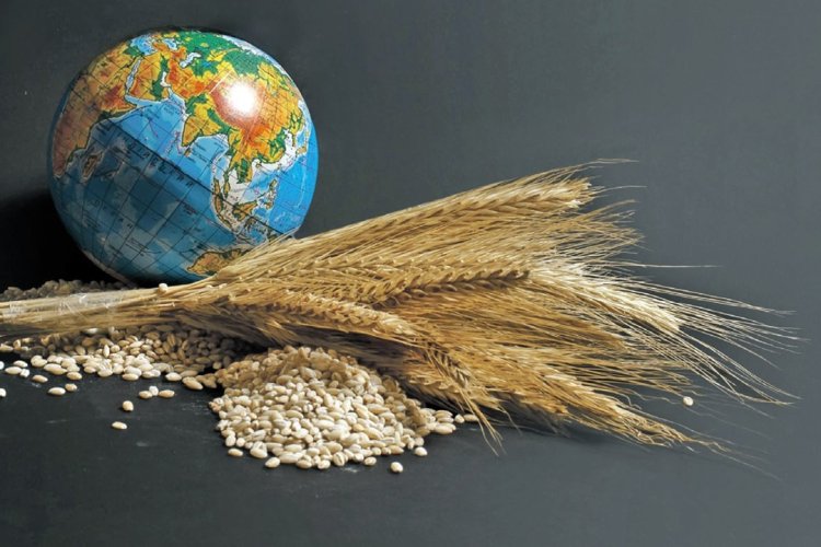 EU moves to limit row over Ukrainian grain as Bulgaria announces import ban