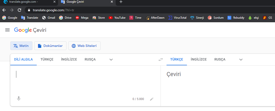Resim