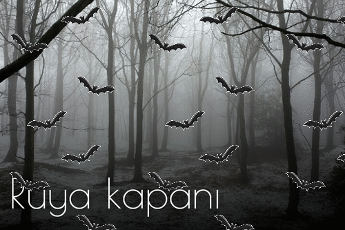 Rüya Kapanı ( Kitab Tövsiyələrim )