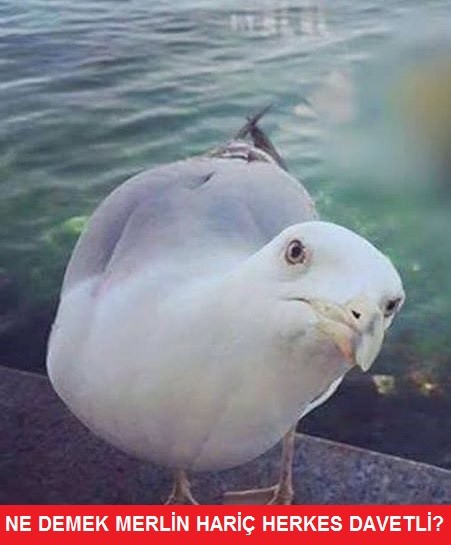 6XOrkP.jpg