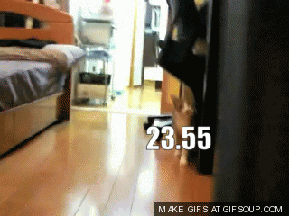 6alm0W.gif