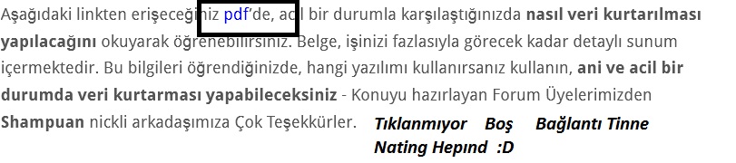 Resim