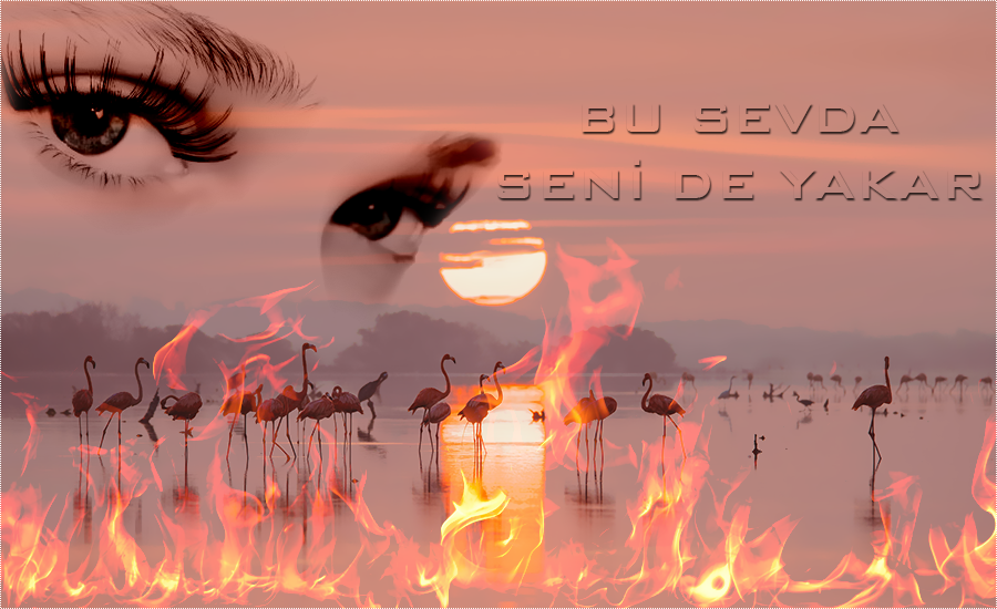 Photoshop Cs6 Mixed