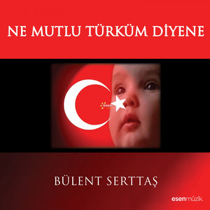 Resim