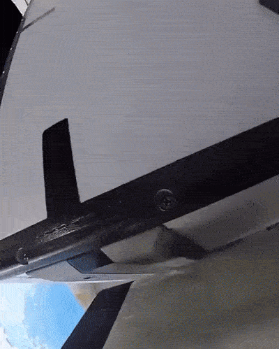 7BDYam.gif