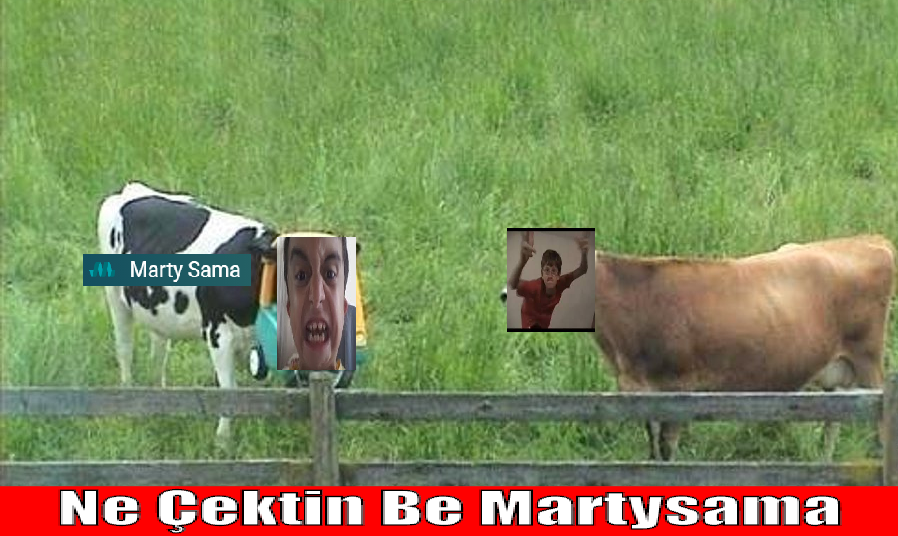 7BGm4a.png