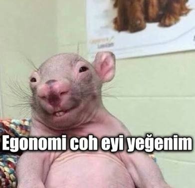 7D4ZNr.jpg