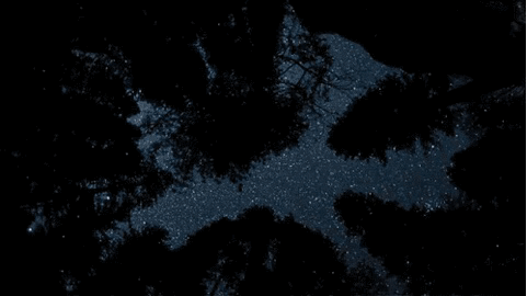 7Nv3G5.gif