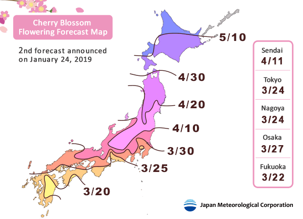 Japonya için 2019 kiraz çiçeği tahmini 7a659Y
