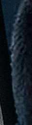 7afts4z.png