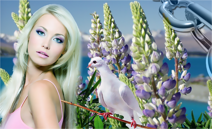 Photoshop Cs6 Mixed