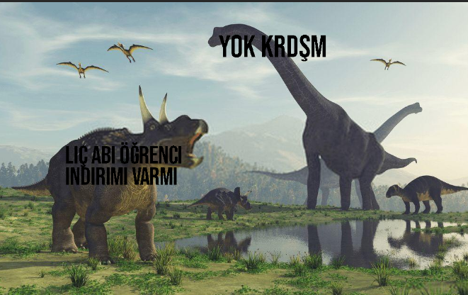 7llud4x.jpg