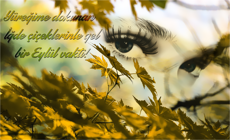 Photoshop Cs6 Mixed