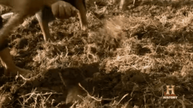 7y55na.gif