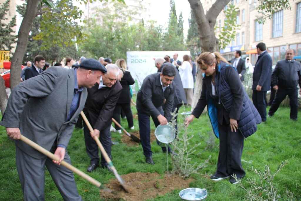 Səbail rayonunda genişmiqyaslı yaşıllaşdırma tədbirləri