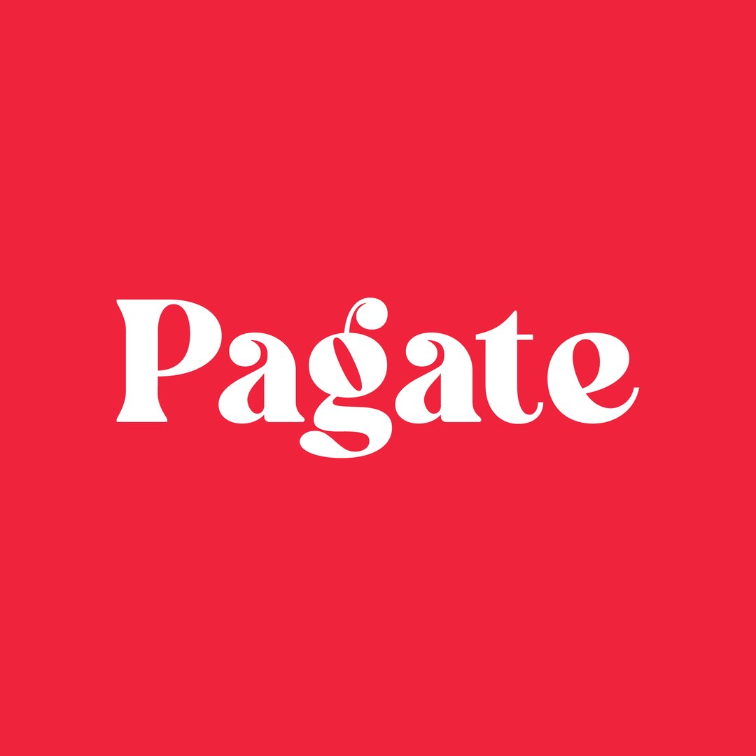 Pagate kurye ile rota optimizasyonu logo