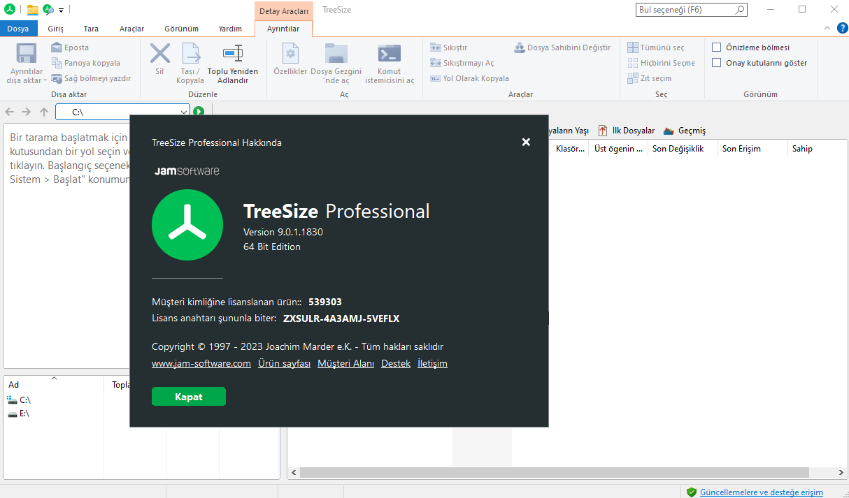 TreeSize Professional 9.0.3.1852 | Full