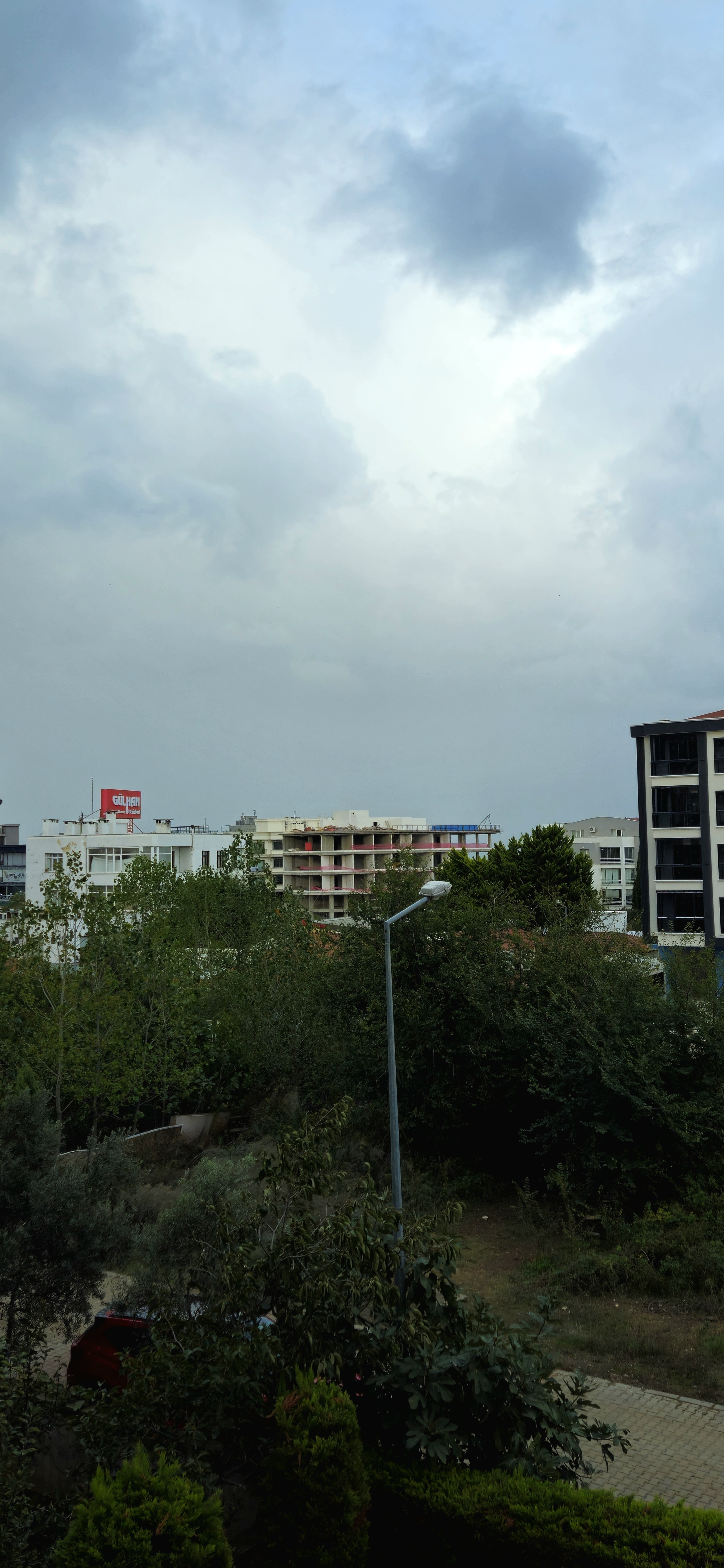 8eit51l.jpg