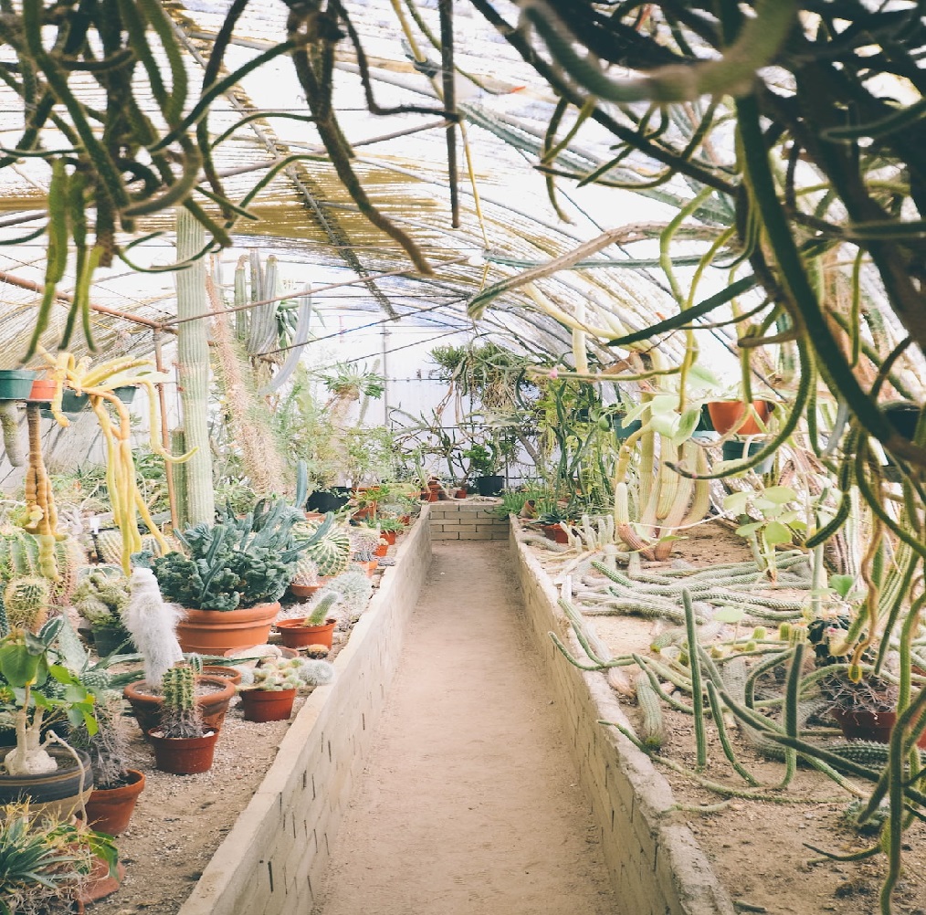 #Top-Tipps für die Gestaltung eines Instagram-tauglichen Gartens