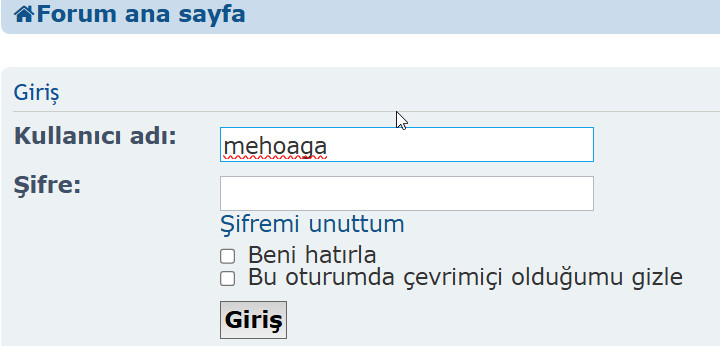 Resim