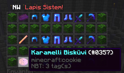8z2m17.png