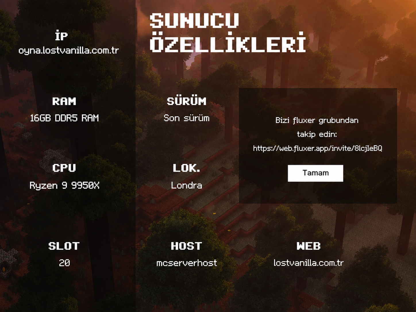 93em8up.png