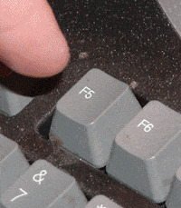 96jwd36.gif