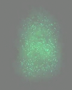 9NvMDN.gif