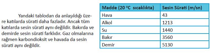 Resim