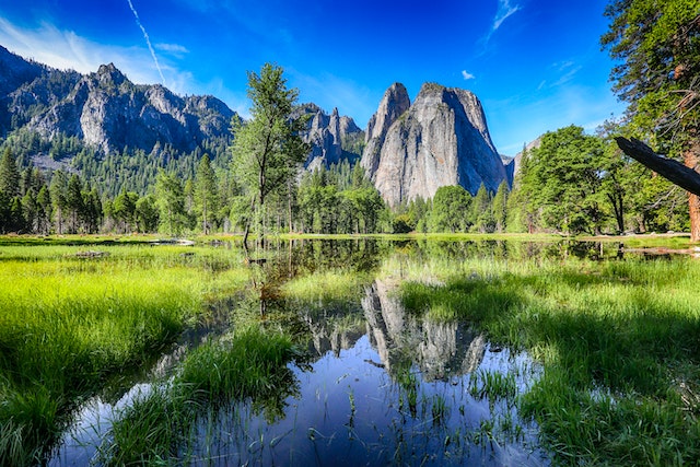 #5 Activities to Try When Visiting California